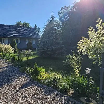 Siedlisko latem w pełnej krasie — Zacisze na Podlasiu