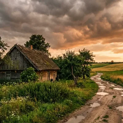 Kwitnące łąki wiosną — okolica Bielska Podlaskiego