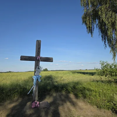 Zacisze na Podlasiu latem — malowniczy krajobraz