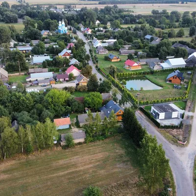 Dzika przyroda Podlasia — kadry z okolicy