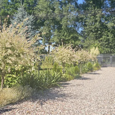 Front siedliska — całoroczna agroturystyka na Podlasiu