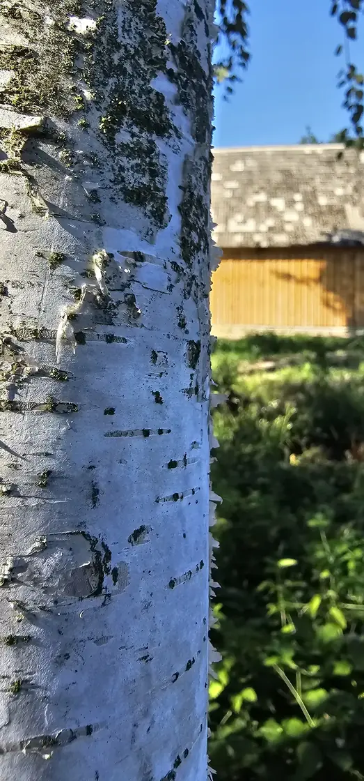Zacisze na Podlasiu — siedlisko